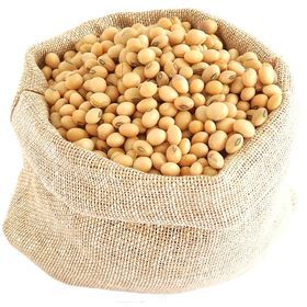 Prix compétitif de l'huile de soja Fournisseur direct de soja séché en vrac - Product Image 2