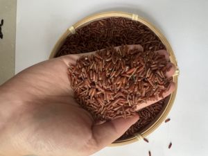 ข้าวแดงเมล็ดยาวคุณภาพสูง แบบกำหนดเองสำหรับส่งออก ข้าวแตก 5% เนื้อนุ่ม ดีต่อสุขภาพ สไตล์ OEM - Product Image 5