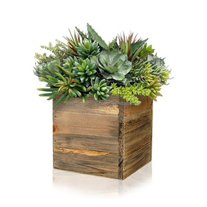 Maceta de mesa de madera y Metal con acabado de pulido de madera Natural forma cuadrada diseño elegante buena calidad para decoración de jardín - Product Image 3