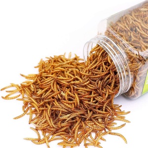 Alimento de Proteína Animal de Alta Calidad, Gusanos de Maíz Secos, Bocadillos para Mascotas, Comida para Aves Silvestres - Product Image 1