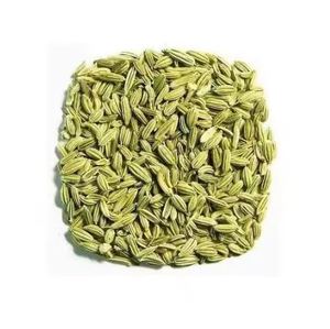 Semillas de hinojo verde hechas en la India de excelente calidad para semillas de especias sabrosas a precio a granel del fabricante semillas de hinojo verde - Product Image 3