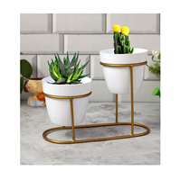 Ce pot à plantes en treillis ouvert aide les plantes à rester droites et apporte un aspect doux et élégant aux salles de jardin intérieures.