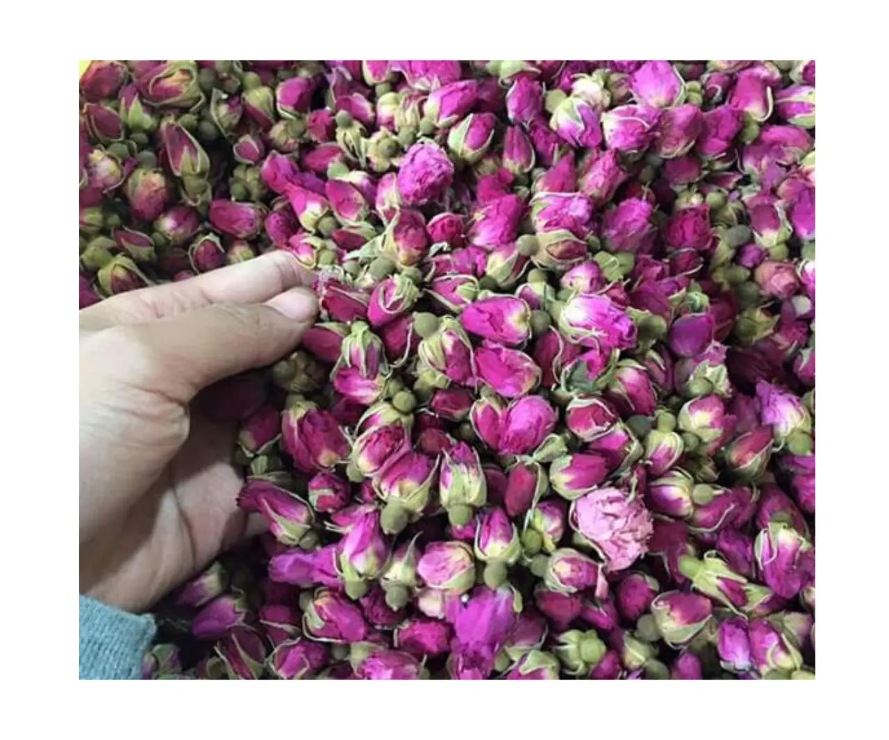 Factory Supply Wild 100% Natural Dried Flower Rose Bud Detox Tea