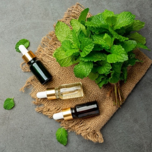 Aceite Esencial Puro de Bergamota y Menta de Calidad Garantizada, Uso Múltiple, Destilación por Vapor, Notas Superior/Intermedia, Fabricado en India, Bajo Precio - Product Image 3