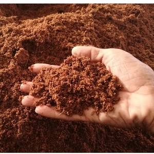 Tourbe de noix de coco pour améliorer les terres Usine directe Tourbe de noix de coco Fibre de tourbe de noix de coco entière - Product Image 3