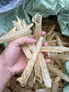 การส่งออกกระเพาะปลาแห้งธรรมชาติคุณภาพสูงจํานวนมาก - Product Image 6