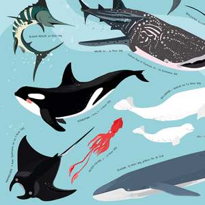 Modern Sea Creatures <b>Poster</b> Stylish Wall Art Featuring Underwater Action Made of Durable Paper - Product Image 5