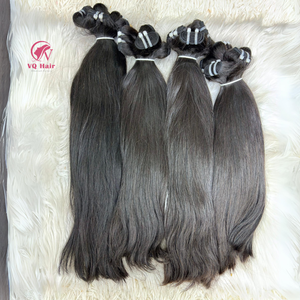 VQ Cheveux Vietnamiens Vierge Cheveux Bruts Naturel Droite Cuticule Alignée Haute Qualité Machine Double Trame Toutes Les Couleurs Teignable 100gr - Product Image 1