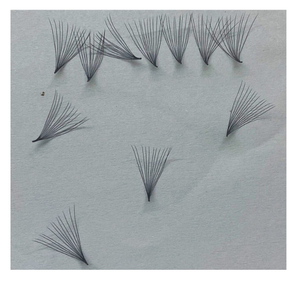 Extensiones de Pestañas Individuales Pre-fabricadas 12D Personalizadas Vietnam Easy Mix Gruesas 15mm Cachemira en Bandeja CC Nhu Y Eyelash NY12D - Product Image 2