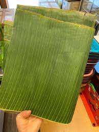 HOJAS DE BANANA NATURALES PURAS PARA ENVASAR ALIMENTOS - Product Image 2