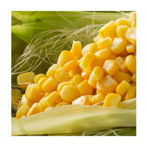 Maïs sucré congelé de qualité supérieure prêt à l'emploi de haute qualité pour les usines de conserves Restauration rapide et fabricants de produits alimentaires - Product Image 3