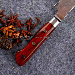 Juego de cuchillos de Chef profesional hecho a mano, cuchillo utilitario de acero inoxidable de 8 pulgadas, mango de palisandro, uso de cocina, venta al por mayor baja, 10 uds) - Product Image 5