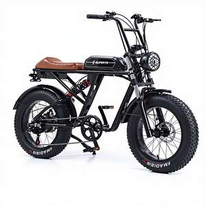 Triciclo Eléctrico en Oferta, 48V, Una Velocidad, 600W, para Adultos, 3 Ruedas, Carga, Marco de Acero de Alto Carbono, Freno de Tambor, Disponible en Stock - Product Image 2