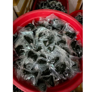 Raisins de mer au caviar vert fraîchement cueillis avec un craquement unique et un parfum d'océan adapté aux créations culinaires - Product Image 1