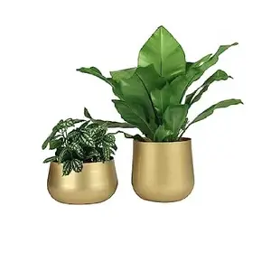 Pot logam Terbaik tanpa dudukan pot bunga baru pot tanaman logam untuk kebun terlihat baru penanam logam harga grosir