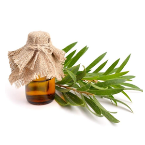 ACEITE DE CAJEPUT ORGÁNICO DE GRADO TERAPÉUTICO PREMIUM PARA AROMATERAPIA Y MASAJE - Product Image 4