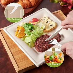10-Inch <strong>Square</strong> Bagasse Eco-Friendly Disposable <strong>Plates</strong> for Camping Restaurant Delivery Party Catering &amp; Takeout Food Packaging - Product Image 3
