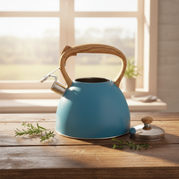 Haute qualité 3L en acier inoxydable eau chaude théière cuisine maison cuiseur à eau avec sifflet bouilloire et peinture de couleur pour café
