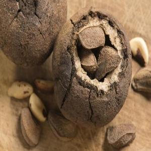 Disponible en stock, noix du Brésil de haute qualité, noix du Brésil biologiques premium, noix du Brésil grillées en gros à vendre - Product Image 1