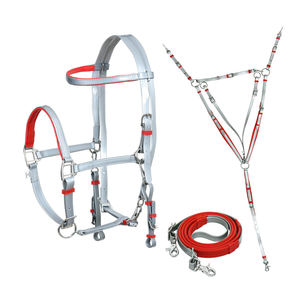 Juego de rieles con placa de pecho, rieles con brida de cuello Halter de resistencia de caballo, con tachuelas ecuestres - Product Image 4