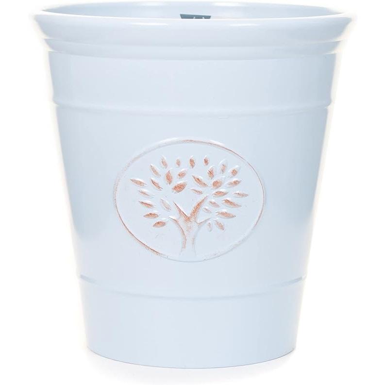 ตามที่แสดง