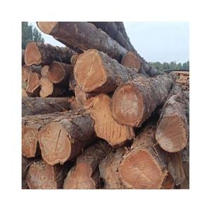 Grumes rondes de qualité supérieure fournies en vrac pour les projets de meubles et de construction - Product Image 5