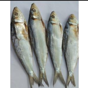 ผลิตภัณฑ์ปลาเฮอร์ริ่งแห้งธรรมชาติราคาส่งถูก - Product Image 6