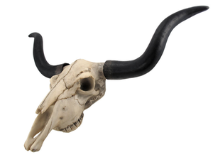 AK latón Metal decorativo aspecto Real Animal cara vaca cabeza calavera para decoración del hogar Decoración colgante de pared - Product Image 3