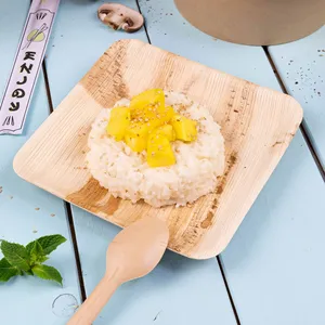 18X18Cm Mini Square Snack Palm Leaf Plates Natural Compostable <b>Party</b> Tableware - 200 pcs/carton - Product Image 6