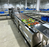 Industriële wasmachine voor producten, commerciële bubbelgroentewasser, automatische voedselwasmachine