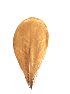 Paquete de 24 hojas de Catappa indias secas de plástico Natural 26 30 cm Accesorios de limpieza de peceras de acuario 10,2 11,8 \ "bolsa para mascotas - Product Image 4