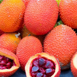 Aceite de fruta GAC de alta calidad 100% (aceite Momordica Cochinchinness) de productos agrícolas, el mejor precio garantizado - Product Image 6