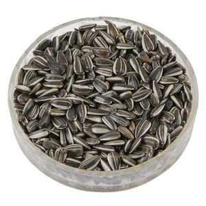 Hạt Hướng Dương Sọc Bán Sỉ Giá Tốt Nhất Hạt Hướng Dương Trong Mông Cổ - Product Image 5