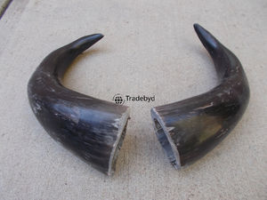 Artisanat en corne de style animal écologique Tradebyd, artisanat artisanal en matériaux organiques, décoration d'intérieur décorative, collection de cadeaux de luxe uniques - Product Image 4