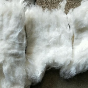 Venta caliente de algodón blanco Lickerin Peine Noil del fabricante de Vietnam Residuos textiles (+ 84379007507-Sra. Amy) - Product Image 4