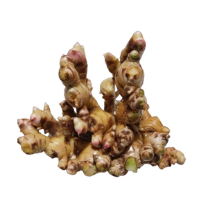 Gingembre doux Vente en gros Légumes frais Gingembre frais naturel UE - Product Image 5