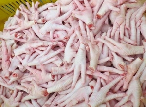 Patas de Pollo Congeladas Orgánicas con Certificación HALAL de la Mejor Calidad, Precio Competitivo - Product Image 3