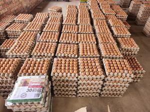 Œufs de poule frais en gros de qualité supérieure à vendre à bas prix Fournisseur de gros à vendre à bas prix - Product Image 5