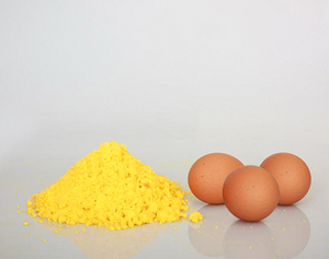 ผงไข่แดงและผงไข่ขาวแบบพ่นแห้งคุณภาพพรีเมียมสำหรับอุตสาหกรรมอาหาร - Product Image 4