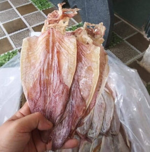 Exportation de commandes en gros de calamars séchés de qualité supérieure à prix compétitif |   Vietnam - Product Image 5