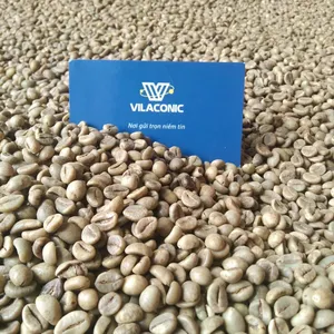 Cà phê đậu xanh 100% Robusta tất cả các loại bán buôn với giá cả cạnh tranh liên hệ qua wa0084838366717 (ms. LYNA)