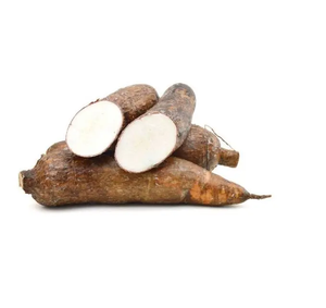 Fournisseur en gros de racines de tapioca fraîches de haute qualité, exportateur direct d'usine pour les chaînes de vente au détail et les acheteurs de l'industrie alimentaire - Product Image 2