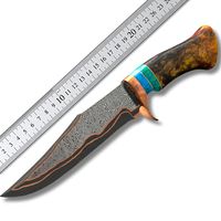 Couteau de chasse à lame fixe en acier Damas de qualité industrielle, fait main, OEM, à bord droit, pointe clip, manche en bois de burl, garde en laiton