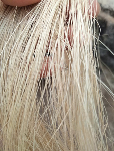 ใยกล้วยเป็นมิตรกับสิ่งแวดล้อมสำหรับอุตสาหกรรมบรรจุภัณฑ์และผ้าไม่ทอ - Product Image 2