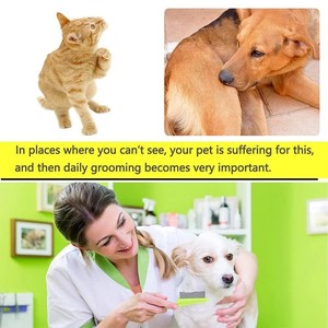 Pettine a denti stretti antiforfora <span class=keywords><strong>per</strong></span> animali domestici, rimuove pulci e uova di pulci, spazzola <span class=keywords><strong>per</strong></span> animali domestici - Product Image 5