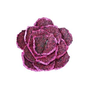 Fruits du dragon séchés biologiques doux et déshydratés (FD) en vrac 10kg pour la préparation de thé – Ferme du Vietnam - Product Image 1