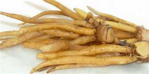 RAÍZ ENTERA DE KRACHAI CONGELADA CON INGREDIENTES DE ETIQUETA LIMPIA PARA APOYO INMUNE Y BIENESTAR BASADO EN PLANTAS - Product Image 5