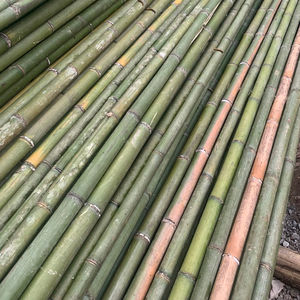 Postes de bambú estacas para decoración de granja para vallas para jardín para construcción - Product Image 1