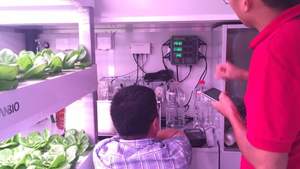 Kit de Hidroponía con Controlador Digital de Nutrientes y Bomba, Monitor Automático con Sensor de PH y EC para Sistema de Cultivo Hidropónico de One-one - Product Image 5