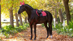 เบาะอานม้าภาษาอังกฤษแบบสบายๆทนทานดีไซน์ผ้าระบายอากาศได้แผ่นบุด้านในนุ่มสบาย - Product Image 5